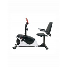 WC1544 RECUMBENT BIKE